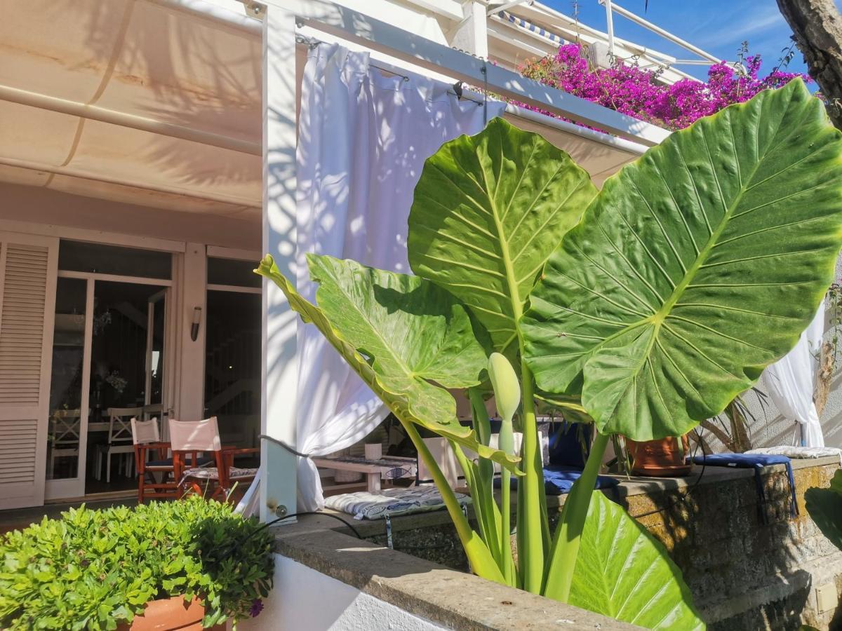 Holiday home Casa De La Luna Nettuno